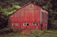 Country Life